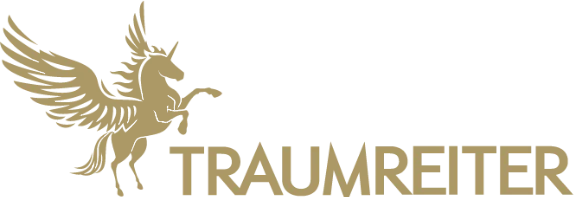 Traumreiter Seitenschläferkissen Schlafoptimierung