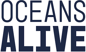 Oceans Alive Health | Premium, Natural Health Products and Supplements