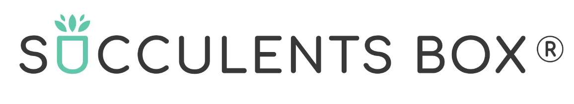 Live Succulents for Sale Online | Succulents Box®