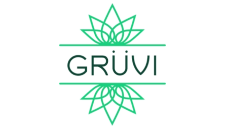 getgruvi.com