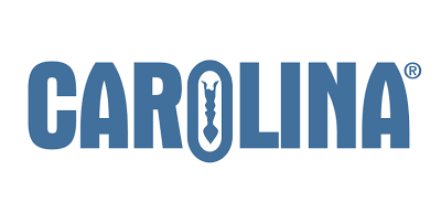 carolina.com