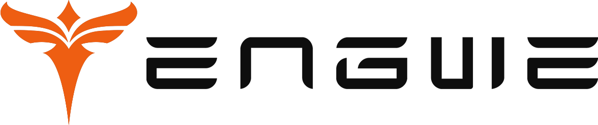 Engwe® Buy Electric Dirt Bike Fat Tire Sale Official Store – ENGWE